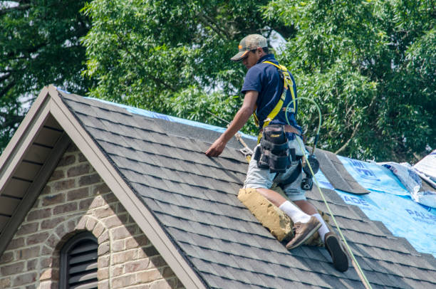 Best Storm Damage Roof Repair  in Glendale Heights, IL